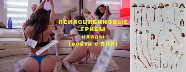 прущая мука Мегион