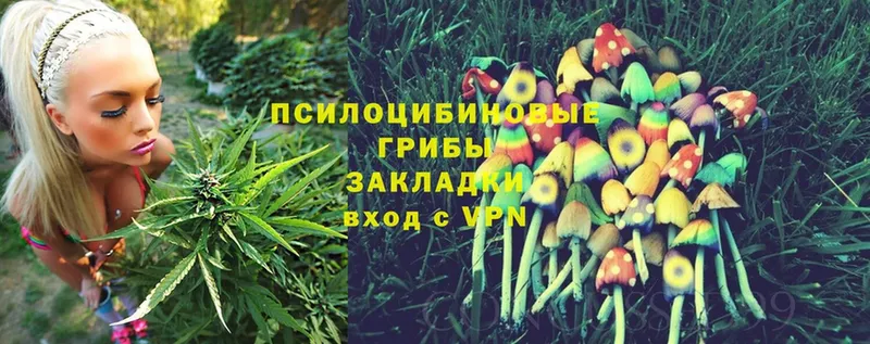 Псилоцибиновые грибы Magic Shrooms  Зеленодольск 