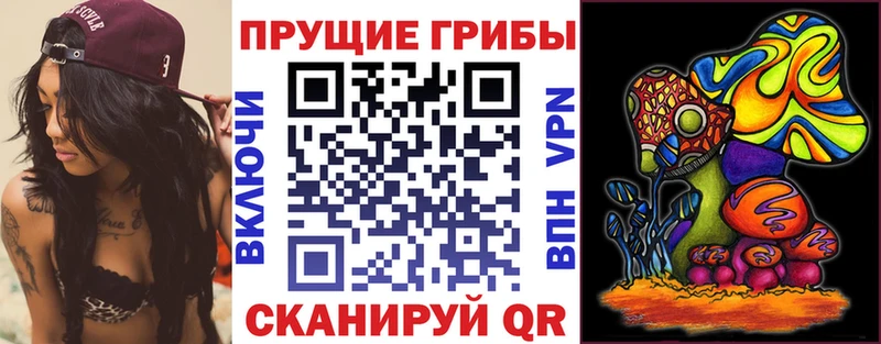 мега сайт  Зеленодольск  Псилоцибиновые грибы Psilocybe 