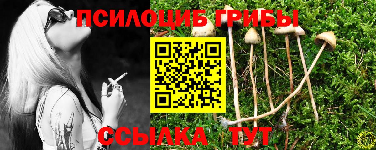 Галлюциногенные грибы Psilocybine cubensis  Галлюциногенные грибы GOLDEN TEACHER  Вход с VPN  Зеленодольск 